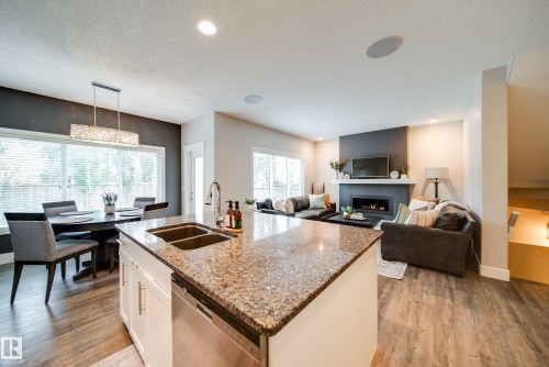 4373 Crabapple Crescent, Edmonton, AB - Indoor With Fireplace
