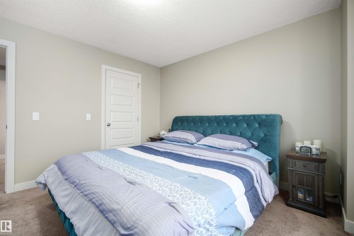 2063 Trumpeter Way, Edmonton, AB - Indoor Photo Showing Bedroom