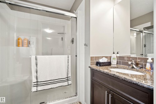 2063 Trumpeter Way, Edmonton, AB - Indoor Photo Showing Bathroom