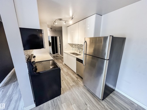 204 10434 125 Street, Edmonton, AB - Indoor Photo Showing Kitchen With Double Sink