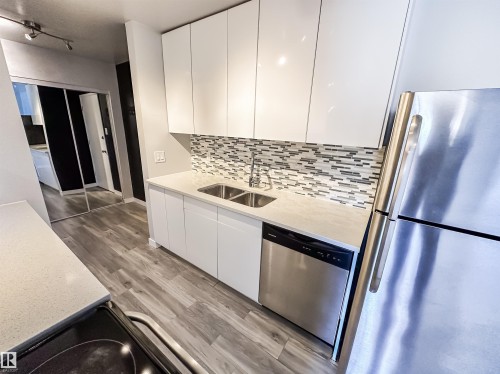 204 10434 125 Street, Edmonton, AB - Indoor Photo Showing Kitchen With Double Sink With Upgraded Kitchen