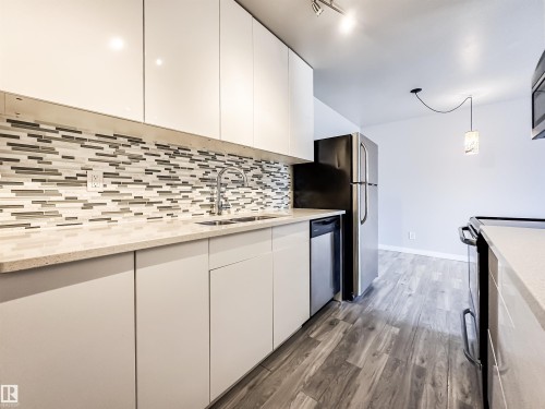 204 10434 125 Street, Edmonton, AB - Indoor Photo Showing Kitchen