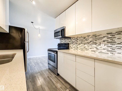 204 10434 125 Street, Edmonton, AB - Indoor Photo Showing Kitchen With Double Sink With Upgraded Kitchen