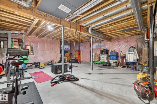 1232 Cunningham Drive, Edmonton, AB - Indoor Photo Showing Basement