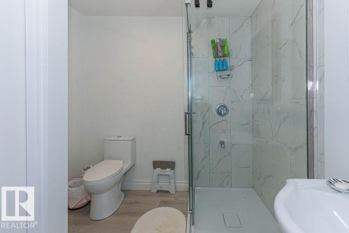 9738 152 Street, Edmonton, AB - Indoor Photo Showing Bathroom