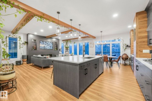 707 Kinglet Boulevard, Edmonton, AB - Indoor Photo Showing Kitchen With Upgraded Kitchen
