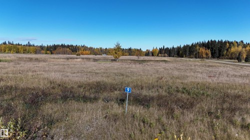 #9 49505 Rr 80, Rural Brazeau County, AB 