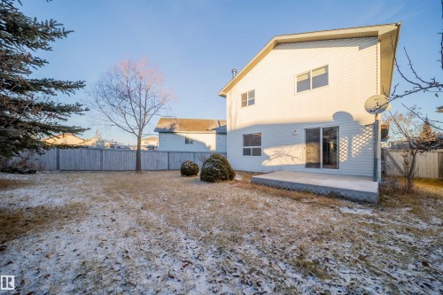 Rear view of property - 3504 20 Street, Edmonton, AB - Outdoor