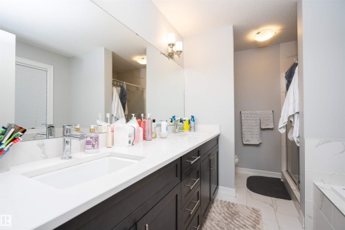 2060 Ware Road, Edmonton, AB - Indoor Photo Showing Bathroom