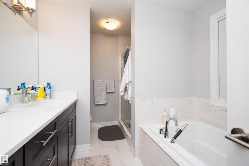 2060 Ware Road, Edmonton, AB - Indoor Photo Showing Bathroom