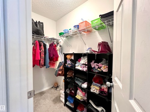 3026 Checknita Way, Edmonton, AB - Indoor With Storage