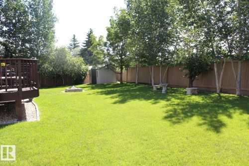 12927 Hudson Way, Edmonton, AB - Outdoor With Backyard