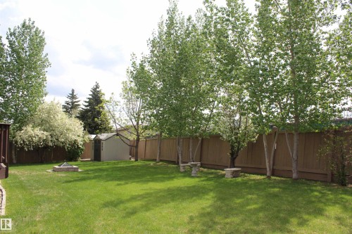 12927 Hudson Way, Edmonton, AB - Outdoor With Backyard