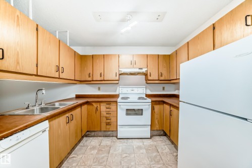 104 70 Alpine Place, St. Albert, AB - Indoor Photo Showing Kitchen With Double Sink