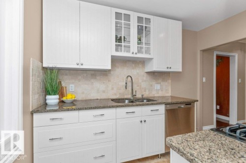 11317 103 Street, Edmonton, AB - Indoor Photo Showing Kitchen With Double Sink