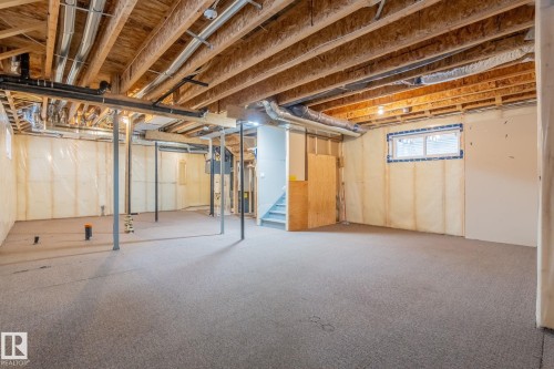 73 Redspur Drive, St. Albert, AB - Indoor Photo Showing Basement