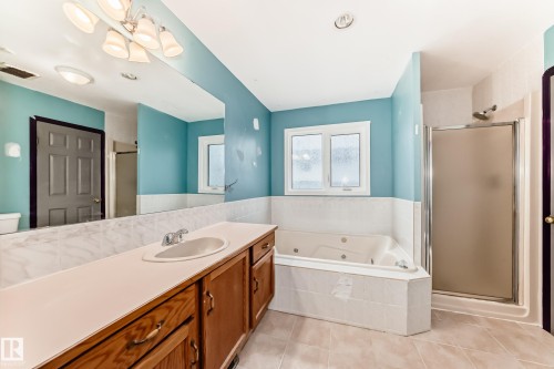 11642 103 Avenue, Edmonton, AB - Indoor Photo Showing Bathroom