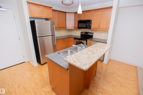 325 7510 89 Street, Edmonton, AB - Indoor Photo Showing Kitchen With Stainless Steel Kitchen With Double Sink