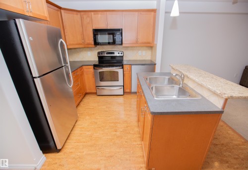 325 7510 89 Street, Edmonton, AB - Indoor Photo Showing Kitchen With Stainless Steel Kitchen With Double Sink