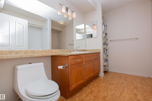325 7510 89 Street, Edmonton, AB - Indoor Photo Showing Bathroom