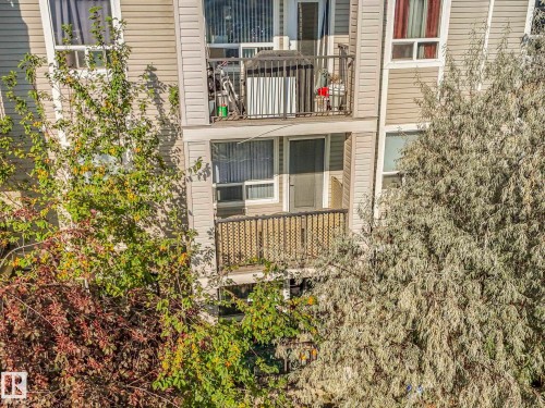 7228 7327 South Terwillegar Drive Nw, Edmonton, AB - Outdoor
