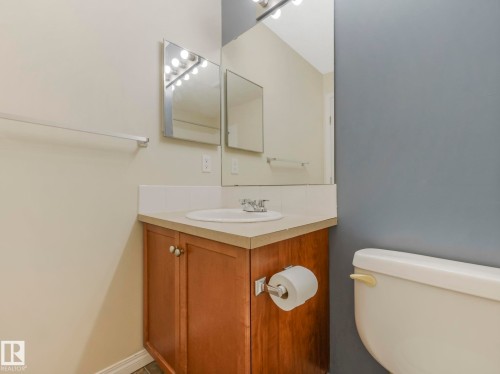 7228 7327 South Terwillegar Drive Nw, Edmonton, AB - Indoor Photo Showing Bathroom
