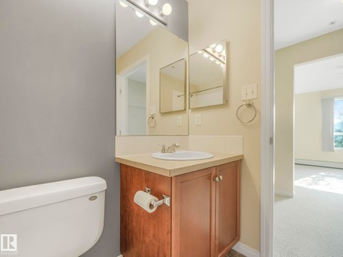 7228 7327 South Terwillegar Drive Nw, Edmonton, AB - Indoor Photo Showing Bathroom