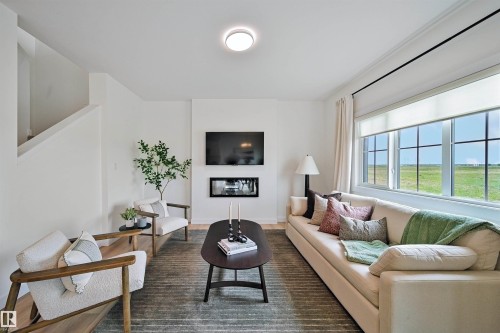 4023 208 Street, Edmonton, AB - Indoor Photo Showing Living Room