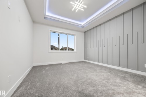 Spare room with carpet and a tray ceiling - 3164 Magpie Way, Edmonton, AB - Indoor Photo Showing Other Room