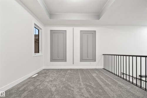 Spare room featuring carpet floors and a raised ceiling - 3164 Magpie Way, Edmonton, AB - Indoor Photo Showing Other Room