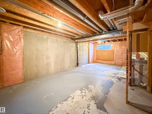 31 6032 38 Avenue, Edmonton, AB - Indoor Photo Showing Basement