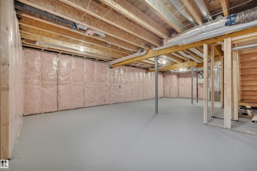 8821 223A Street, Edmonton, AB - Indoor Photo Showing Basement