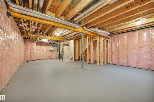 8821 223A Street, Edmonton, AB - Indoor Photo Showing Basement