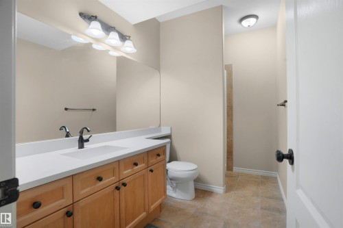 3812 163 Avenue, Edmonton, AB - Indoor Photo Showing Bathroom