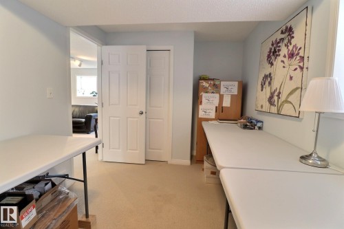 4343 Mcmullen Way, Edmonton, AB - Indoor Photo Showing Other Room