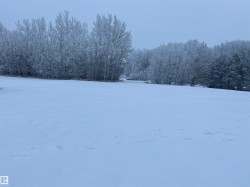 Snowy yard featuring a forest view - 