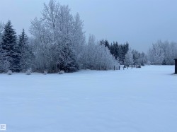 Yard layered in snow featuring a forest view - 