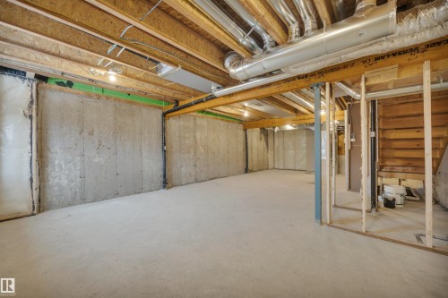 8929 Elves Loop, Edmonton, AB - Indoor Photo Showing Basement