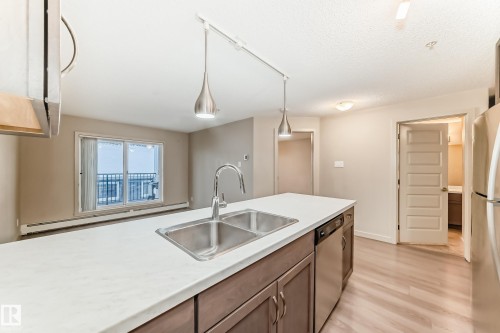 303 4008 Savaryn Drive, Edmonton, AB - Indoor Photo Showing Kitchen With Double Sink