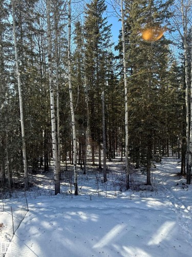 10, 624 41 Street, Edson, AB - Outdoor With View