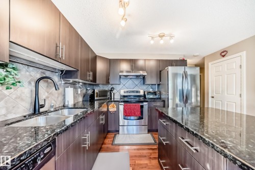 4908 213 Street Nw, Edmonton, AB - Indoor Photo Showing Kitchen With Stainless Steel Kitchen With Double Sink With Upgraded Kitchen