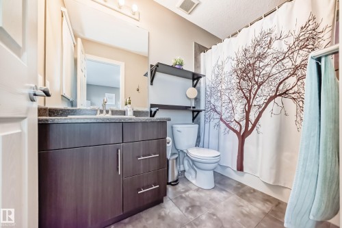 4908 213 Street Nw, Edmonton, AB - Indoor Photo Showing Bathroom