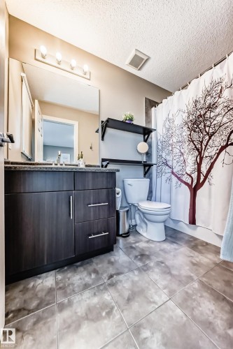 4908 213 Street Nw, Edmonton, AB - Indoor Photo Showing Bathroom
