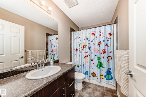 4908 213 Street Nw, Edmonton, AB - Indoor Photo Showing Bathroom