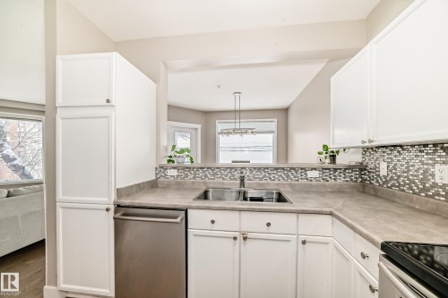 203 8108 109 Street, Edmonton, AB - Indoor Photo Showing Kitchen With Double Sink
