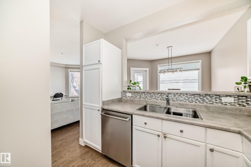 203 8108 109 Street, Edmonton, AB - Indoor Photo Showing Kitchen With Double Sink