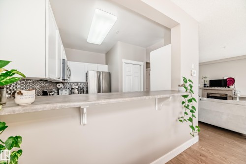 203 8108 109 Street, Edmonton, AB - Indoor Photo Showing Kitchen