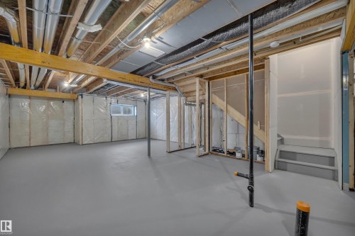 282 Lodge Pole Place, Leduc, AB - Indoor Photo Showing Basement