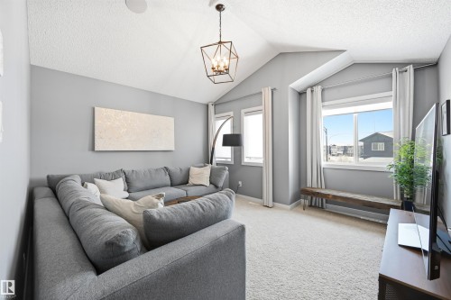 9720 223 Street, Edmonton, AB - Indoor Photo Showing Living Room