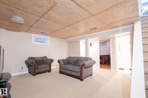 18012 96 Street, Edmonton, AB - Indoor Photo Showing Basement